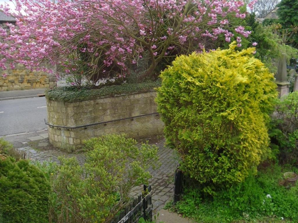 Bed and Breakfast The Old Vicarage Belford Exteriér fotografie